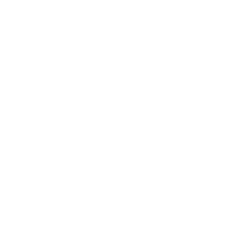 Vela logo